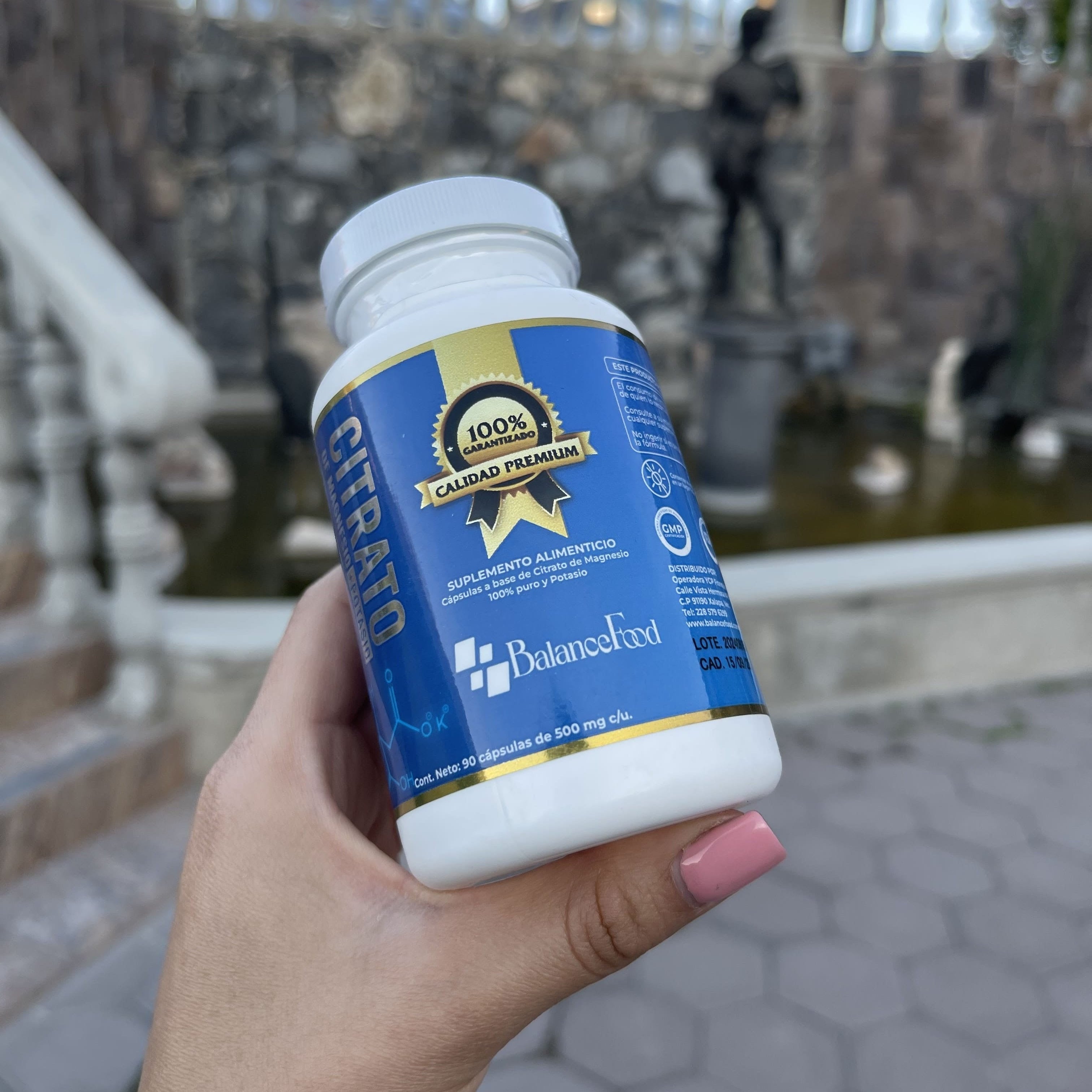 Citrato de Magnesio + Potasio - 90 Cápsulas