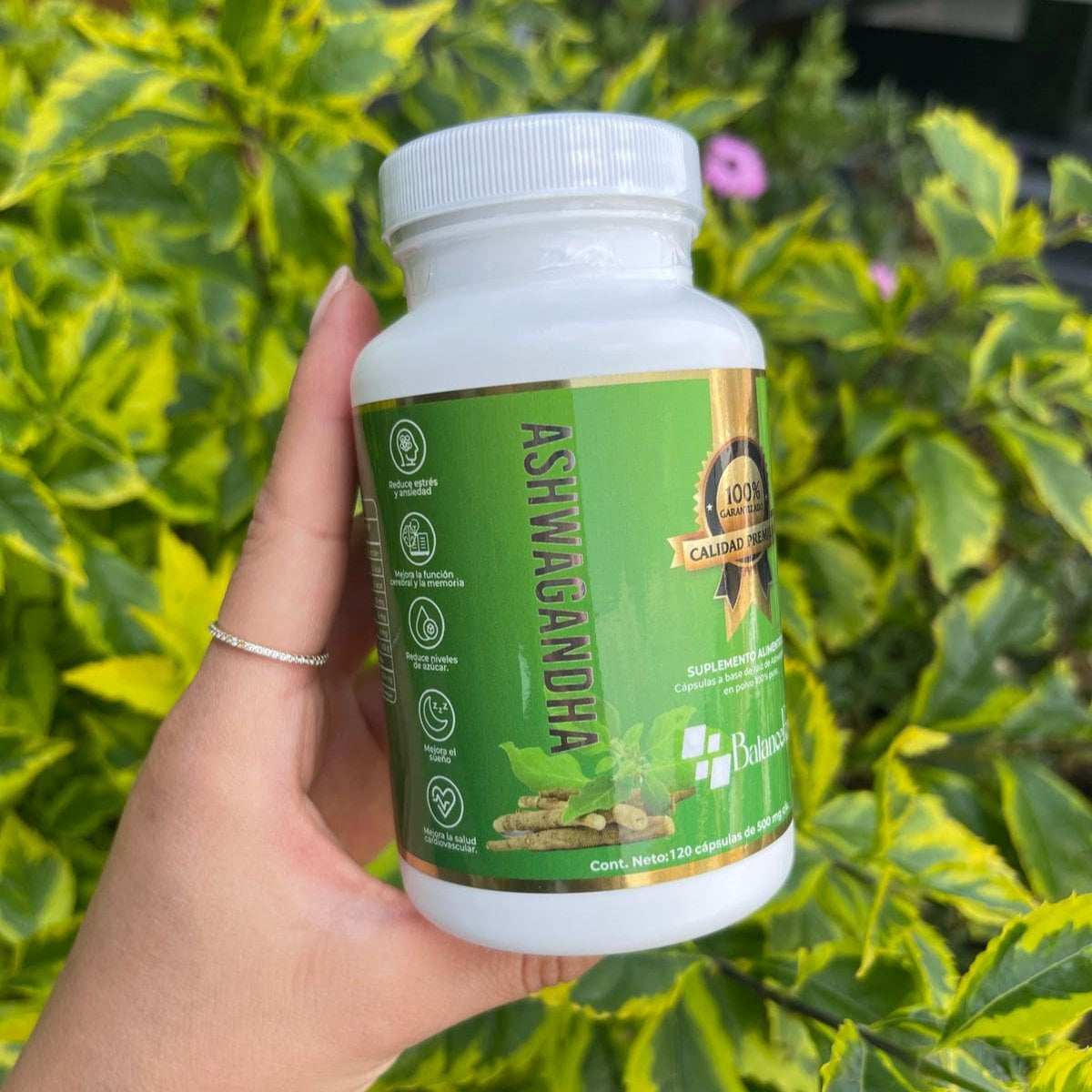 Ashwagandha - 120 Cápsulas - 500mg