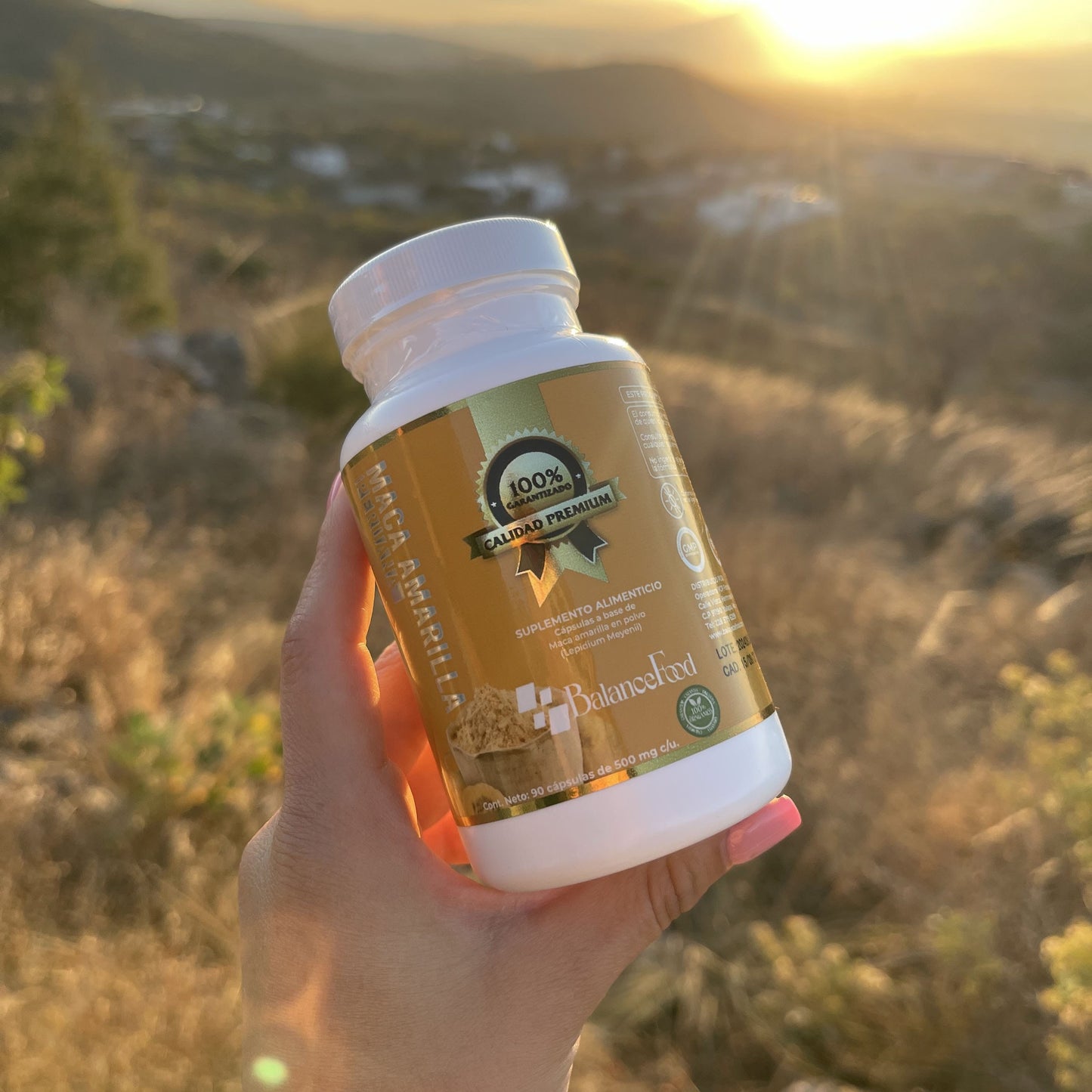 Maca Amarilla Peruana - 90 Cápsulas - 500mg