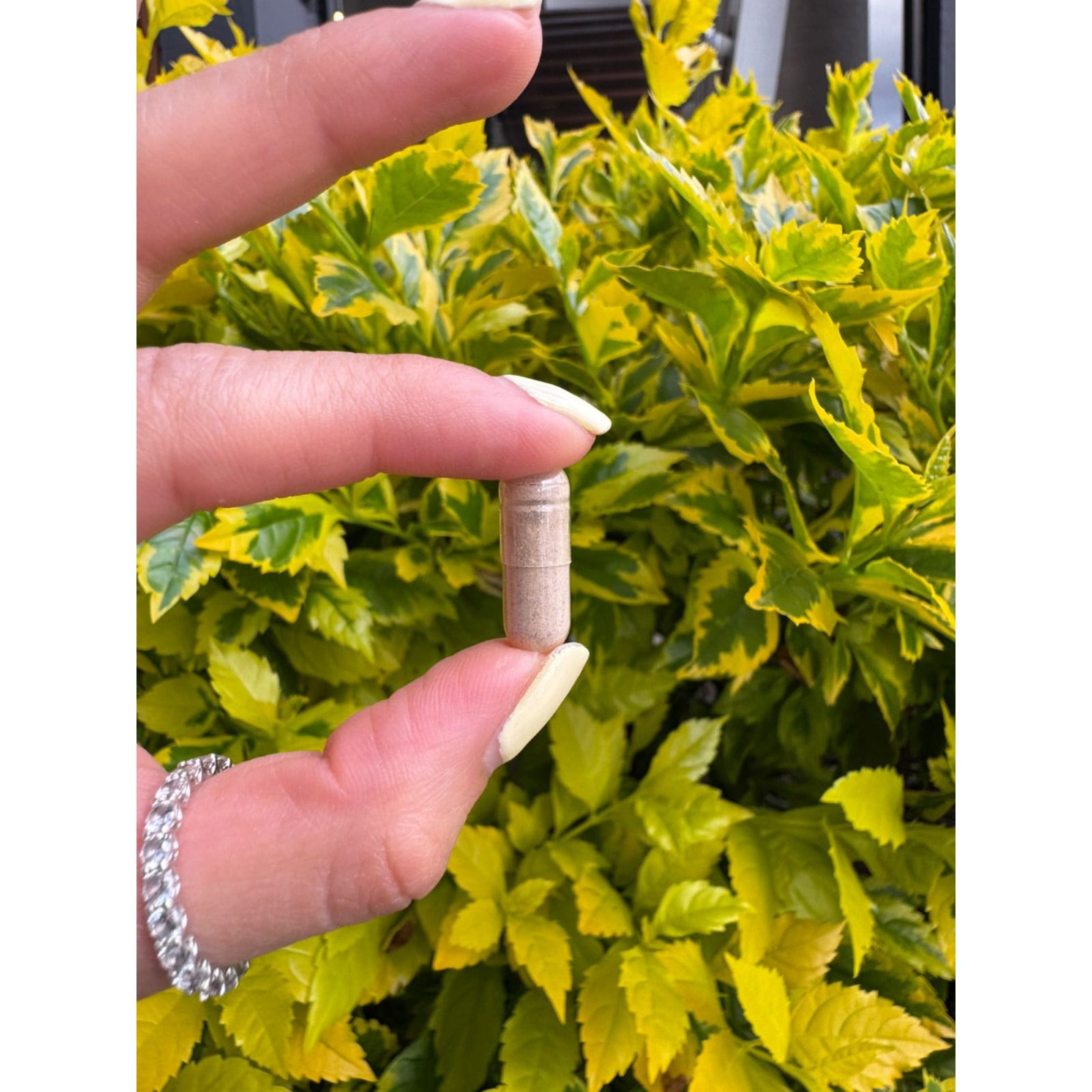 Hongo Melena de León potenciado con 9 ingredientes - 150 Cápsulas