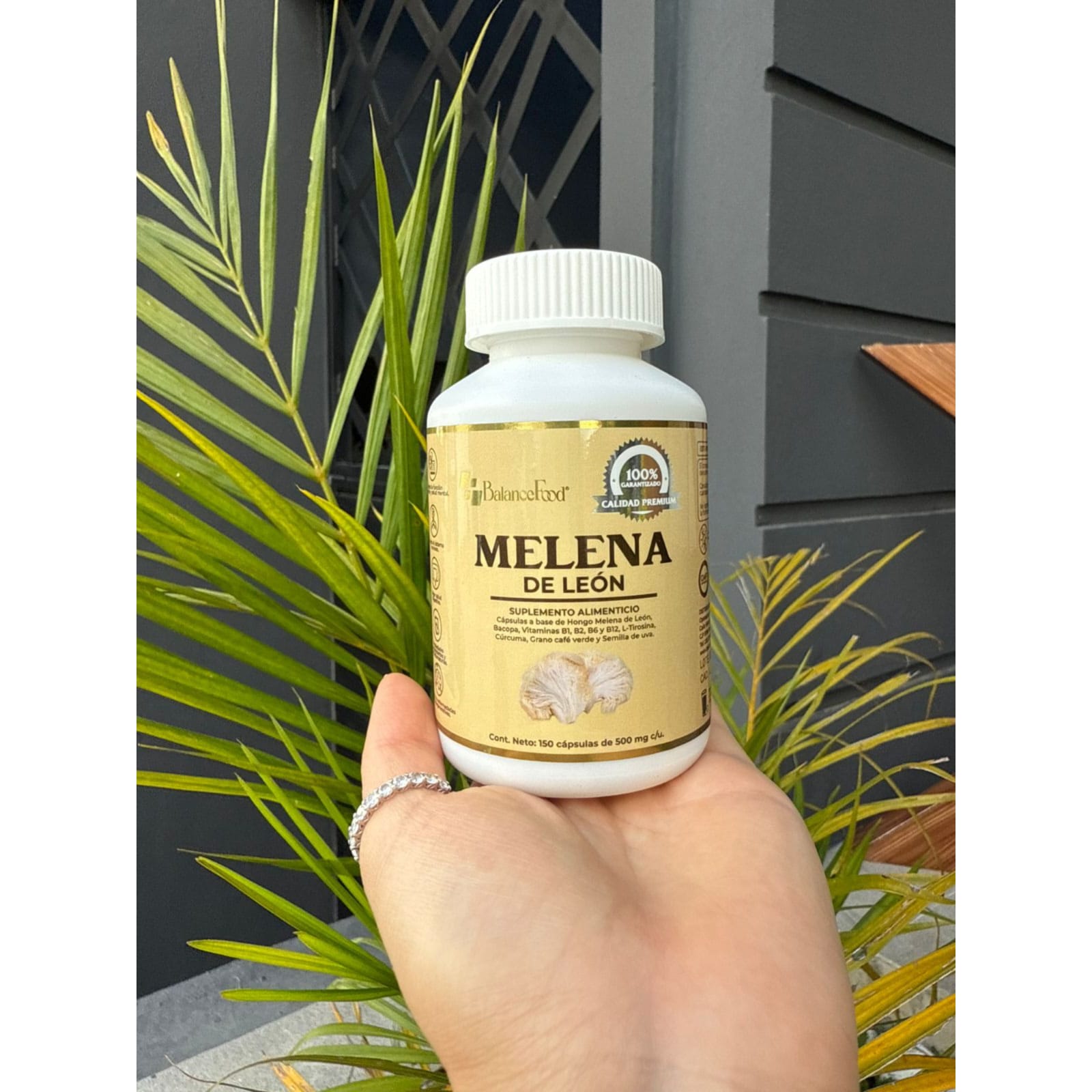 Hongo Melena de León potenciado con 9 ingredientes - 150 Cápsulas