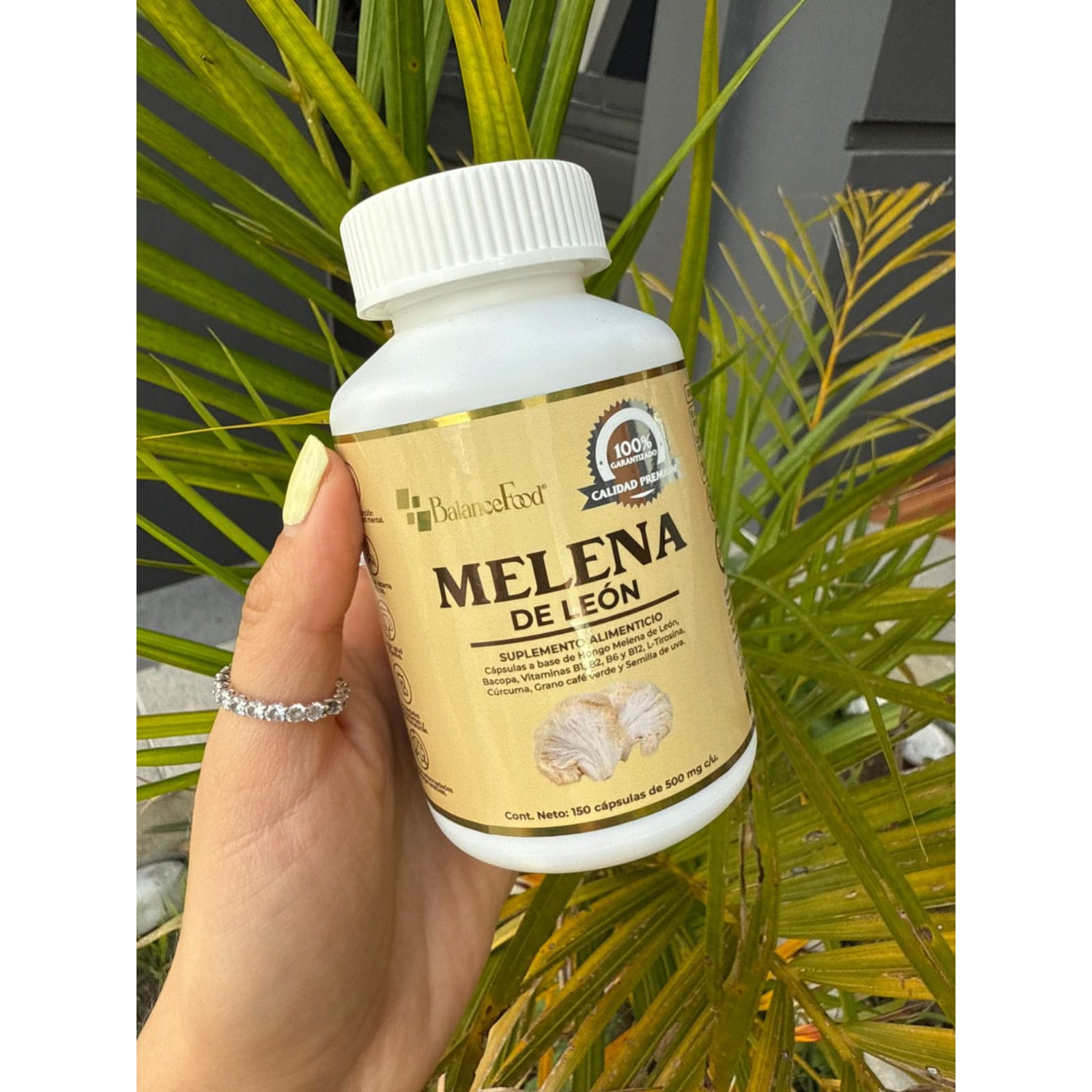 Hongo Melena de León potenciado con 9 ingredientes - 150 Cápsulas