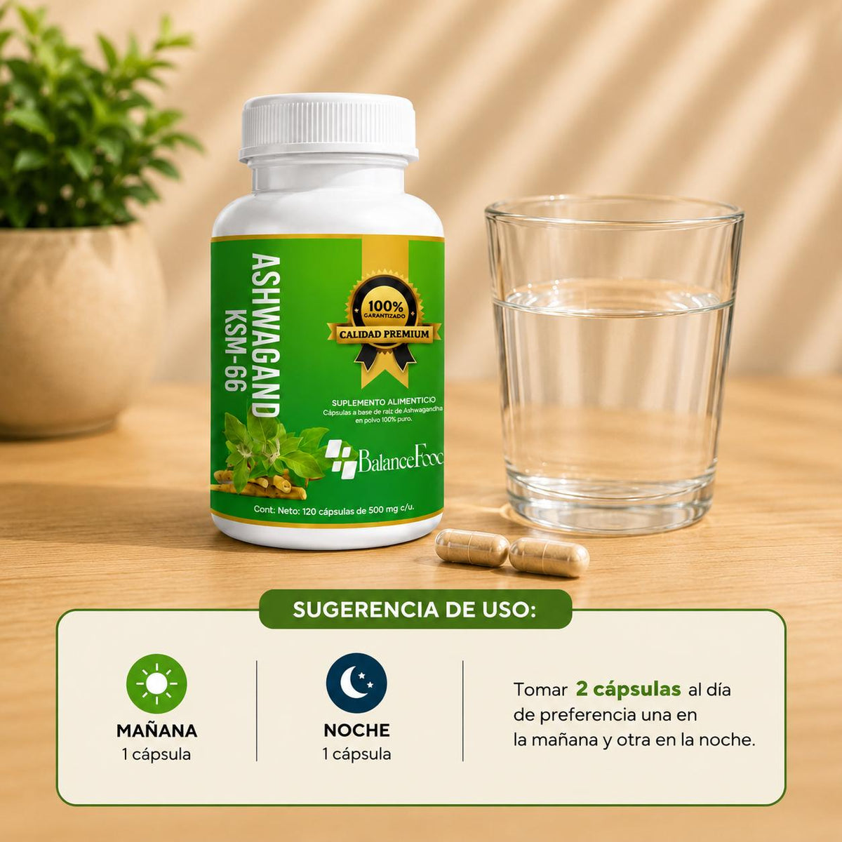Ashwagandha KSM-66® | 120 cápsulas de 500 mg