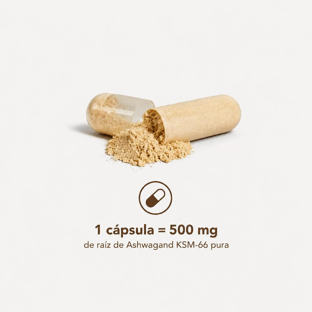Ashwagandha KSM-66® | 120 cápsulas de 500 mg