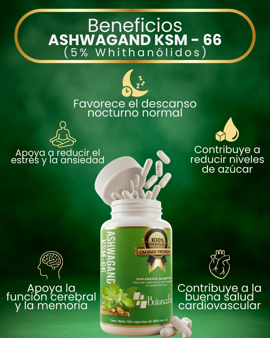 Ashwagandha KSM-66® | 120 cápsulas de 500 mg