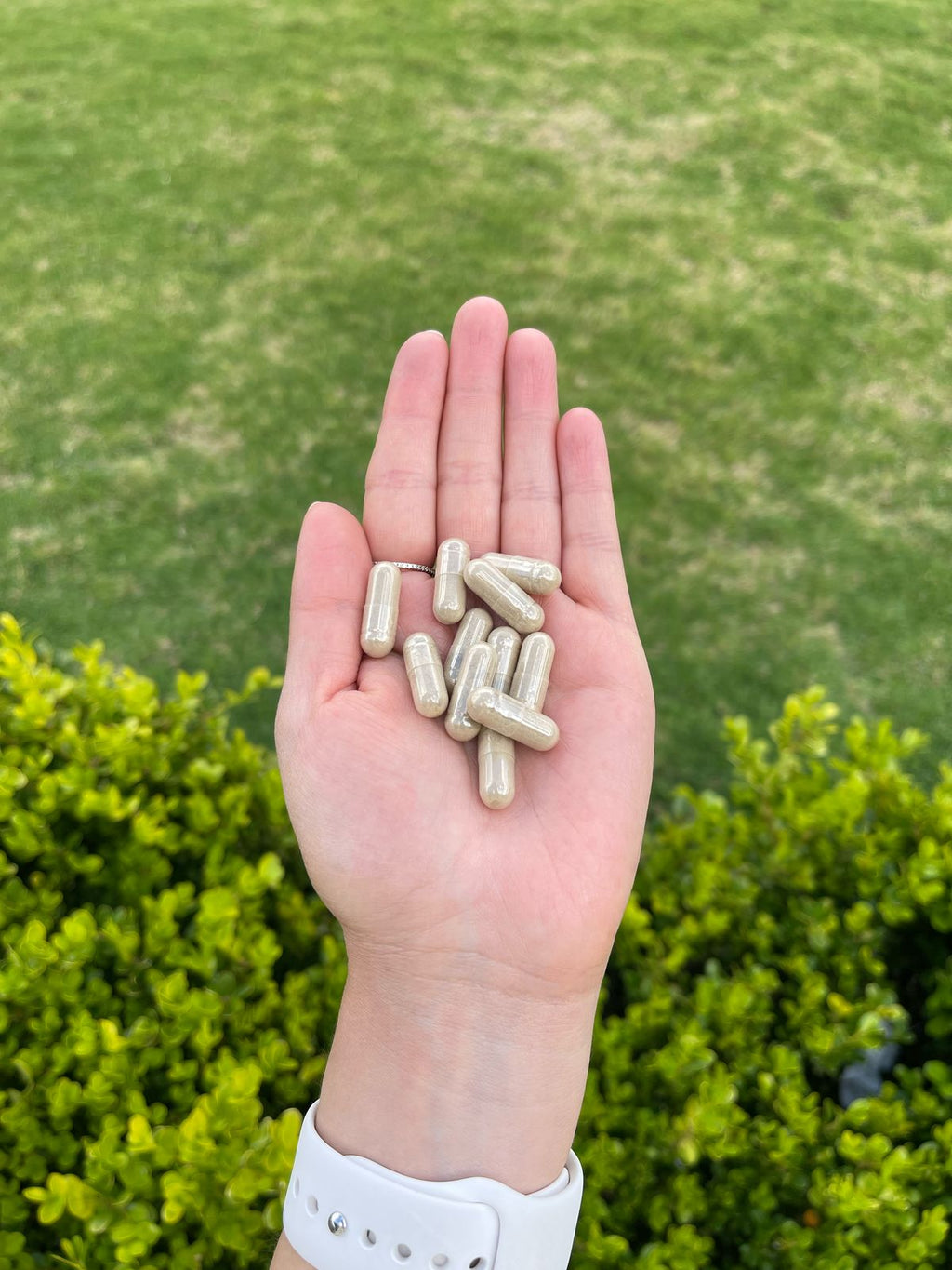 Ashwagandha KSM-66® | 120 cápsulas de 500 mg