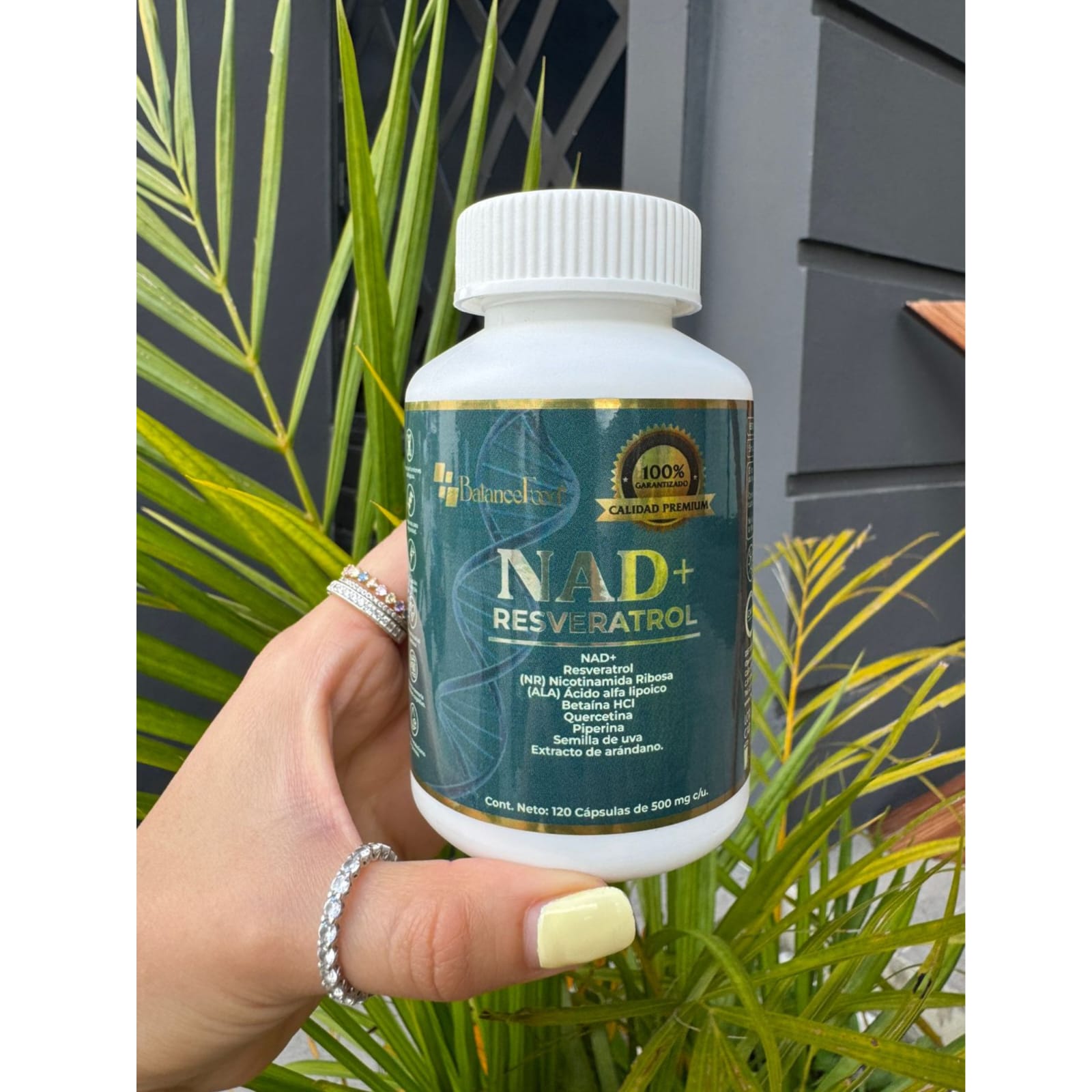 NAD+, Resveratrol potenciado con 7 ingredientes - 120 Cápsulas