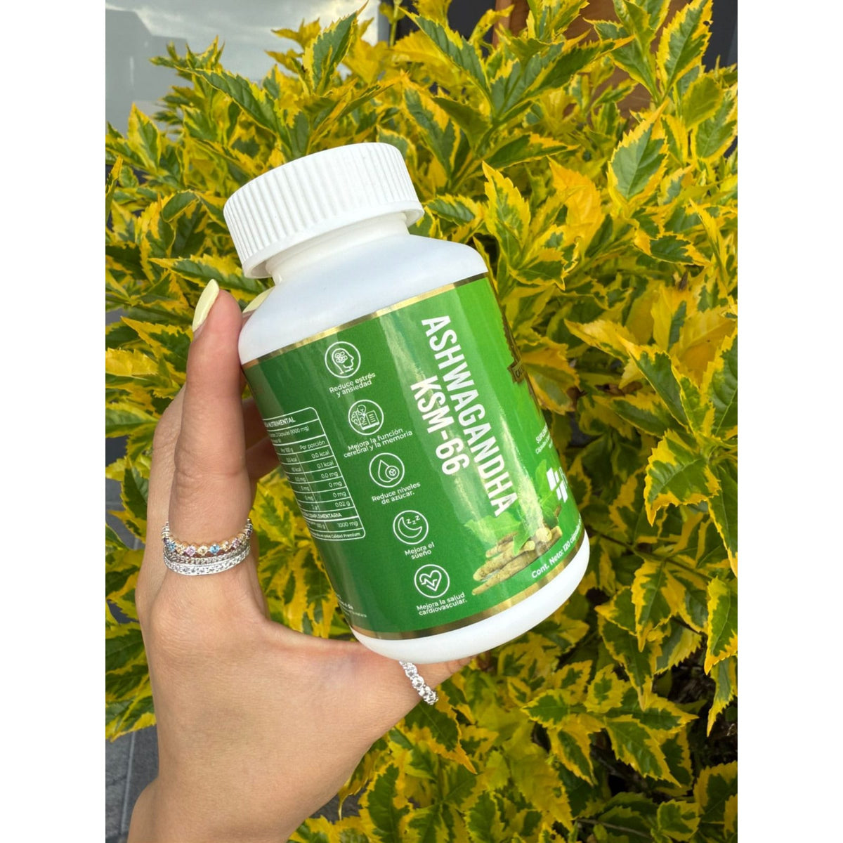 Ashwagandha KSM-66® | 120 cápsulas de 500 mg